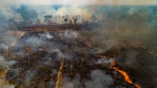 The Amazon Rainforest Can’t Survive 4 More Years Of Brazil's Jair Bolsonaro