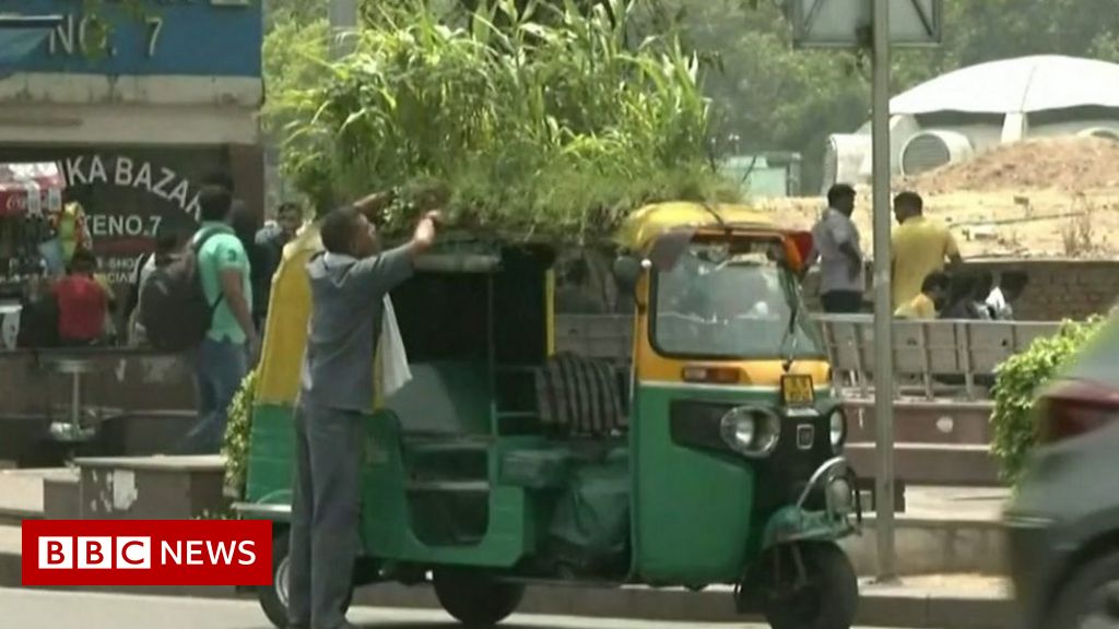 This tuk-tuk driver has found an innovative way to beat the heat.