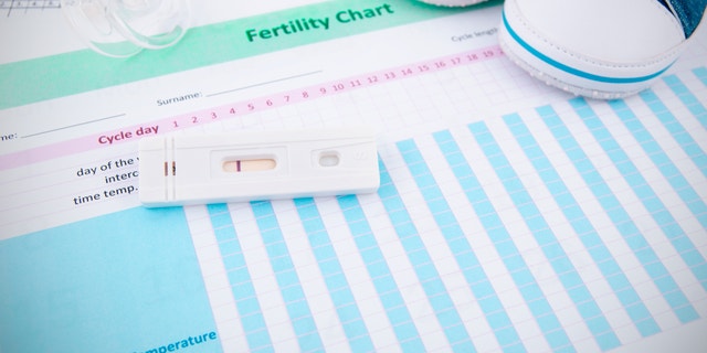 Pregnancy test on fertility chart
