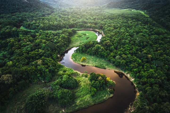 Atlantic Forest in Brazil