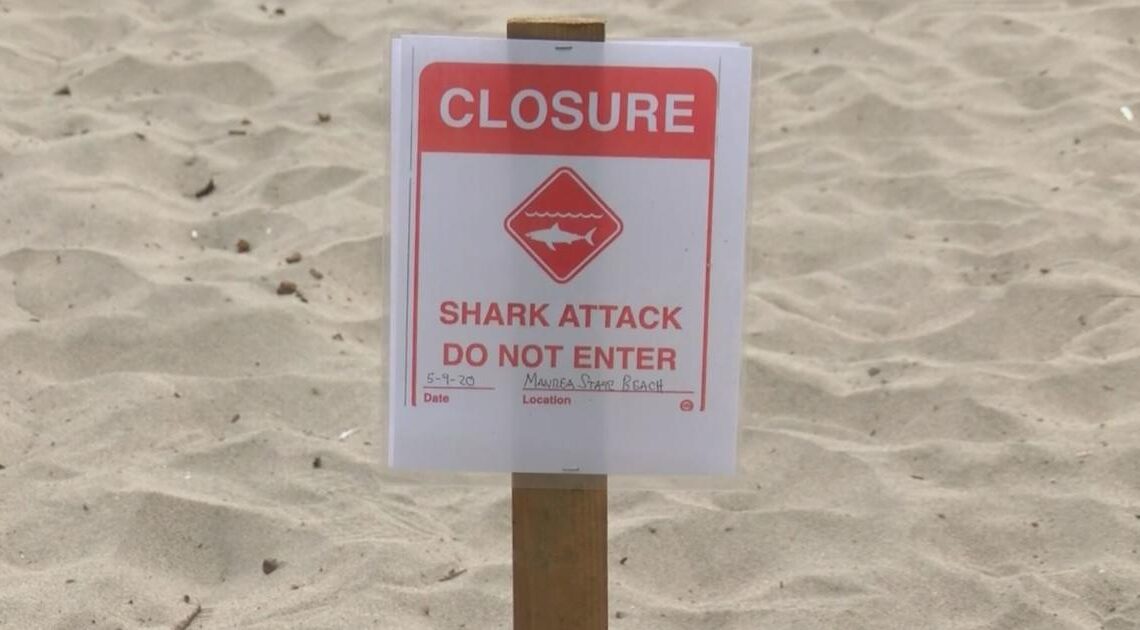 California surfer injured in shark attack