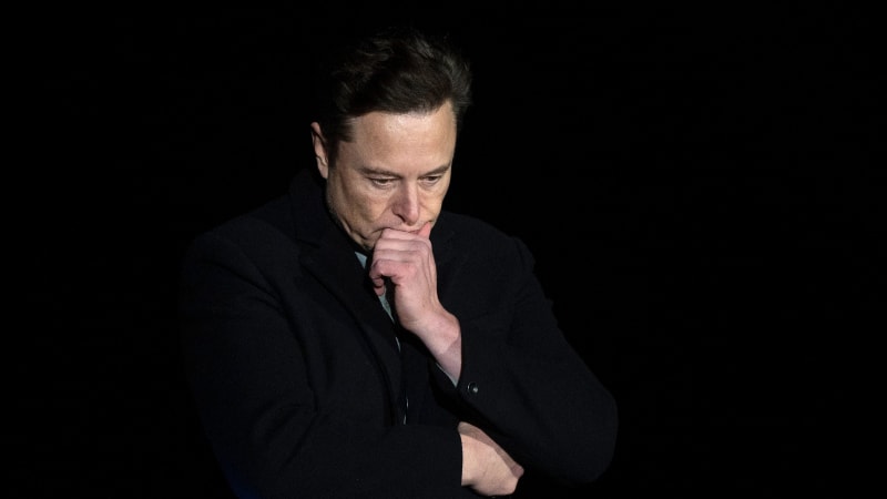 Elon Musk says Tesla's new car factories are 'losing billions of dollars'