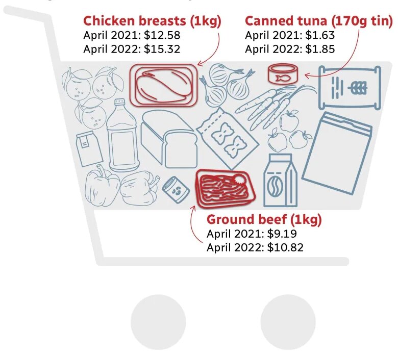 A graphic of a shopping cart highlighting meats and fish.
