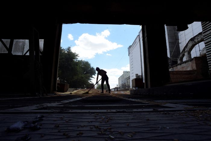 Russia, Ukraine Face Thorny Issues to Complete, Implement Grain Deal