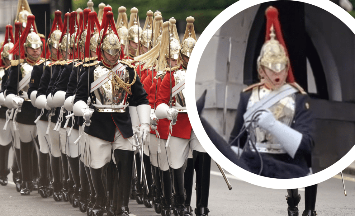 See the Viral TikTok as Queen's Guard screams at tourist