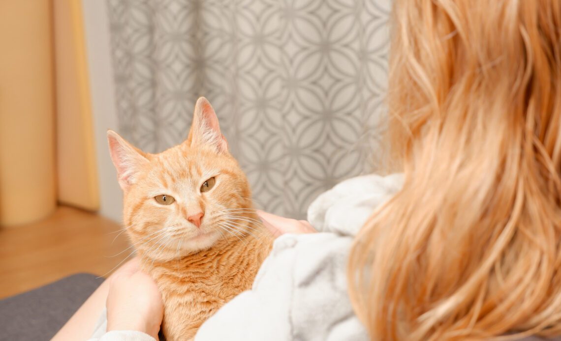A ginger cat with a ginger-haired woman.