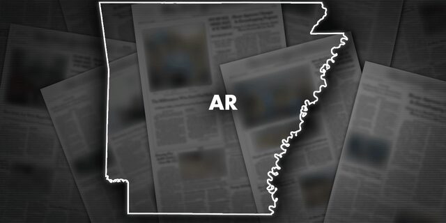 An Arkansas attorney has pleaded guilty to defrauding a US farm program.
