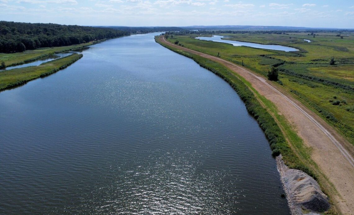 Dead fish in river Oder spark Germany, Poland to probe mystery