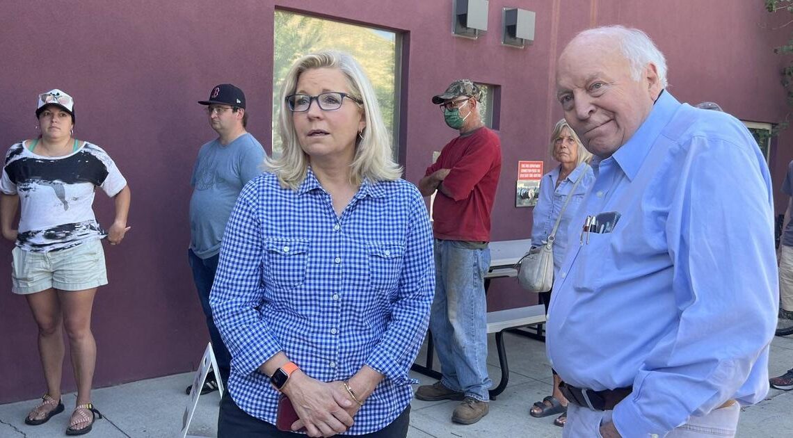 Liz Cheney says "it's the beginning the battle" ahead of Republican primary loss