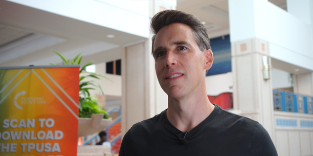 Sen. Josh Hawley, R-Mo., voted against allowing Sweden and Finland to join NATO Wednesday.