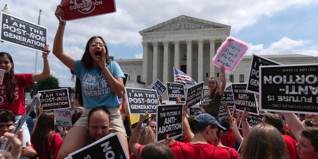 Pro-life protesters celebrate outside the Supreme Court in Washington, Friday, June 24, 2022. 