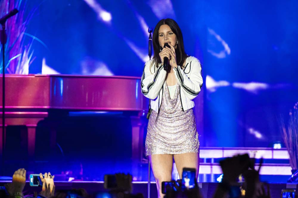 This year Lana Del Rey fans can study their idol at university