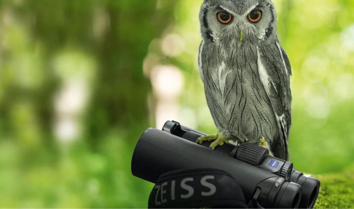 Zeiss binoculars deals | Space