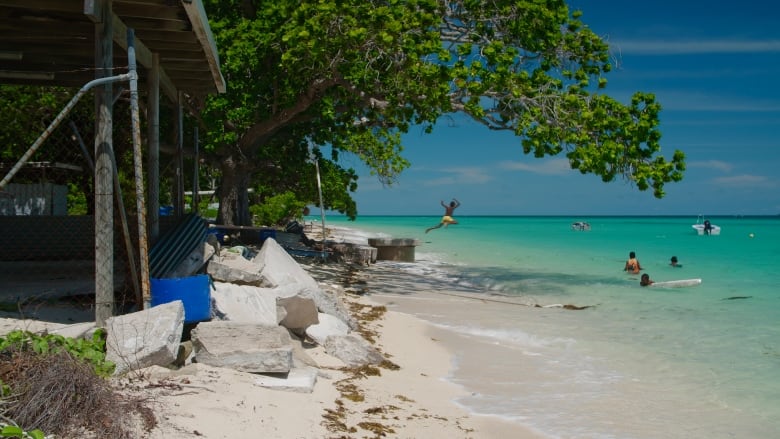 An open structure surrounded by flat rocks on a white sunny beach. In the background, a big leafy tree hangs over the bright green ocean, and a young man leaps into the water. Several other people are in the ocean, some swimming, some boating and some with surfboards.