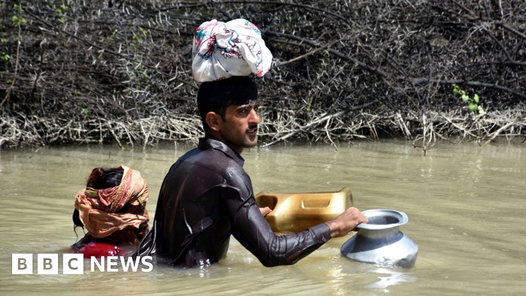 COP27: 'We'd never seen this much water' - Pakistan flood survivors