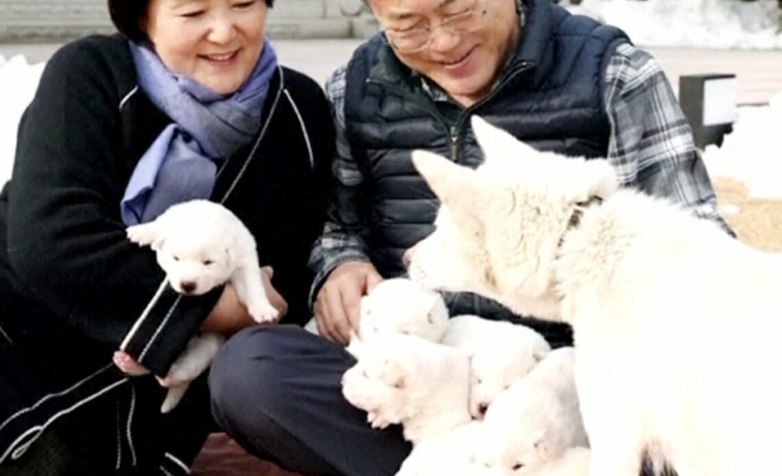 Ex-South Korean leader to give up dogs sent as gift by Kim Jong Un