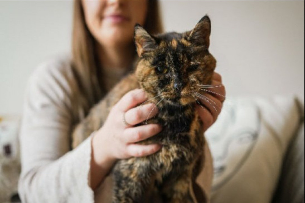 Flossie is the world's oldest living cat