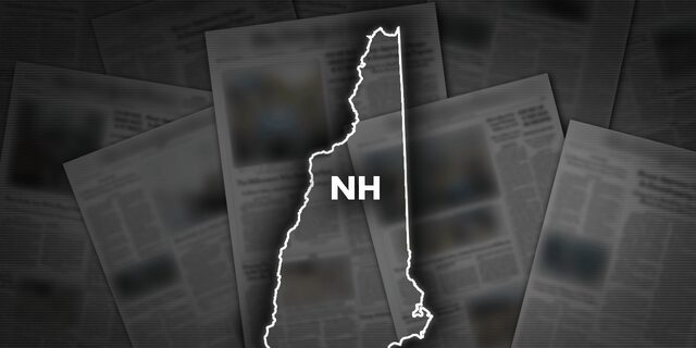 New Hampshire's Executive Council voted to reject funding for a sex education program outside of schools.