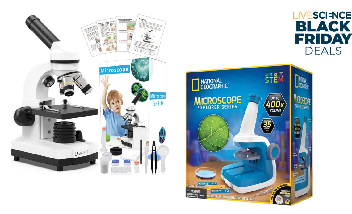 These beginner microscopes make a perfect gift for young scientists - up to 35% off this Black Friday