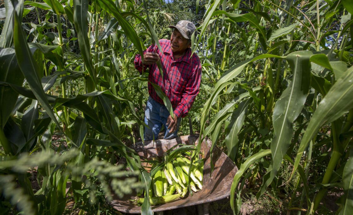 Tribe seeks to adapt as climate change alters ancestral home