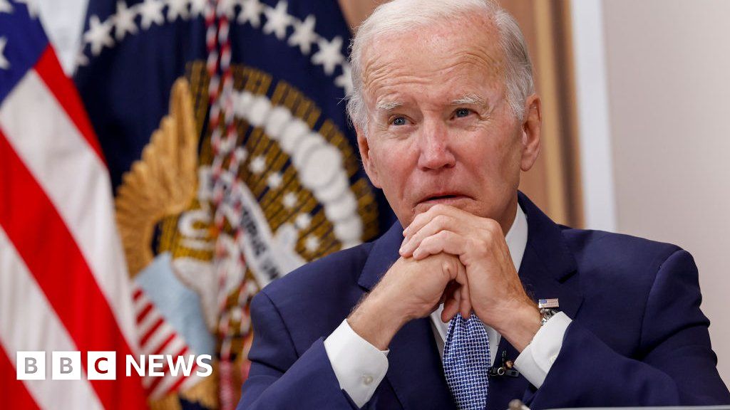 US presidential election 2024: Democrats who might challenge Biden