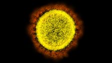China’s COVID-19 Surge Raises Odds Of New Mutant Coronavirus Variant
