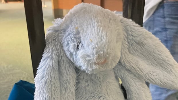 Is this your bunny? Lost toy at Vancouver airport waits to be claimed