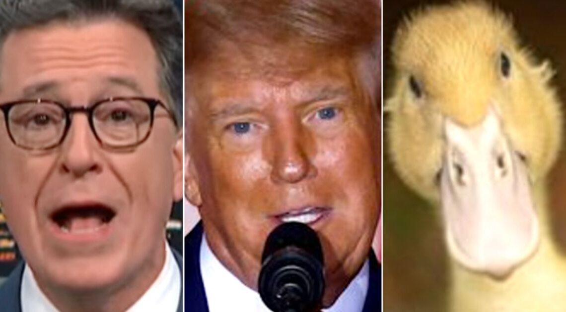 Stephen Colbert Roasts Donald Trump's Racist Dinner With Duck Observation