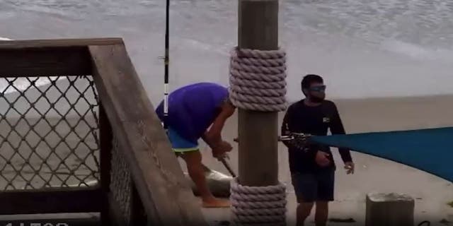 A Florida man reportedly bludgeoned a shark with a hammer and tossed it around before releasing it back into the ocean, police said.