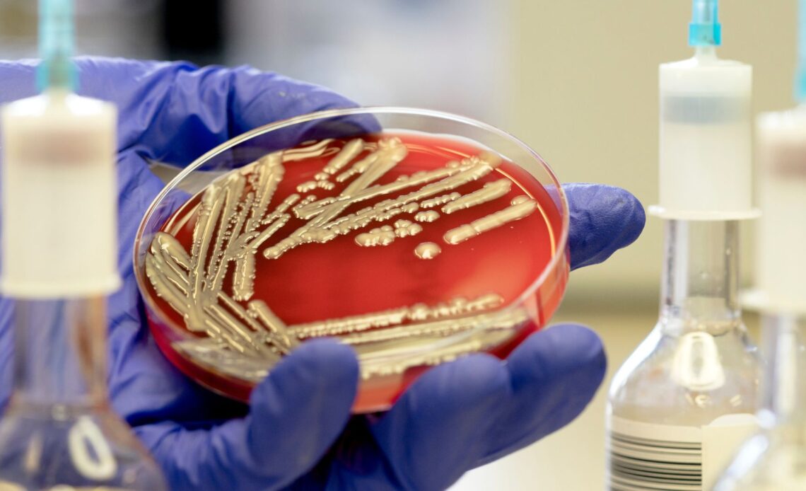 Antidepressants could fuel the rise of superbugs, lab dish study suggests