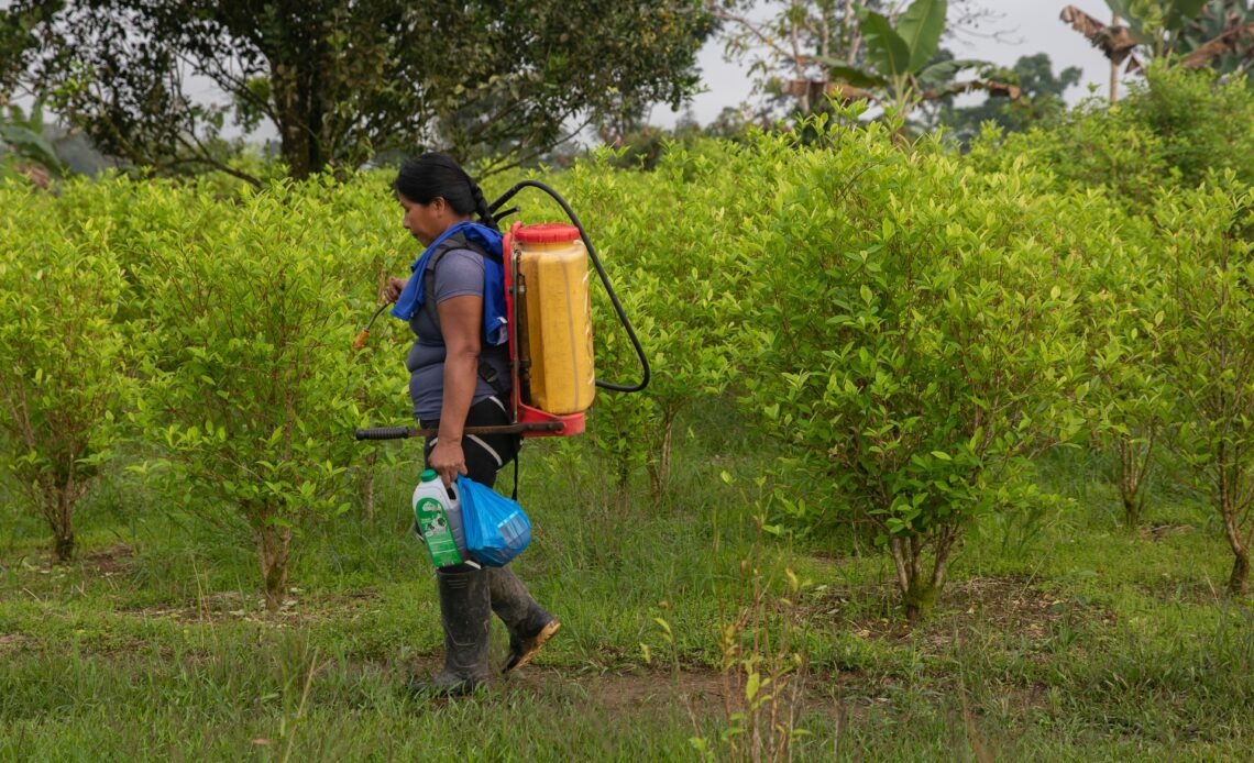 Colombia shifts strategy in drug war away from coca eradication | Drugs News