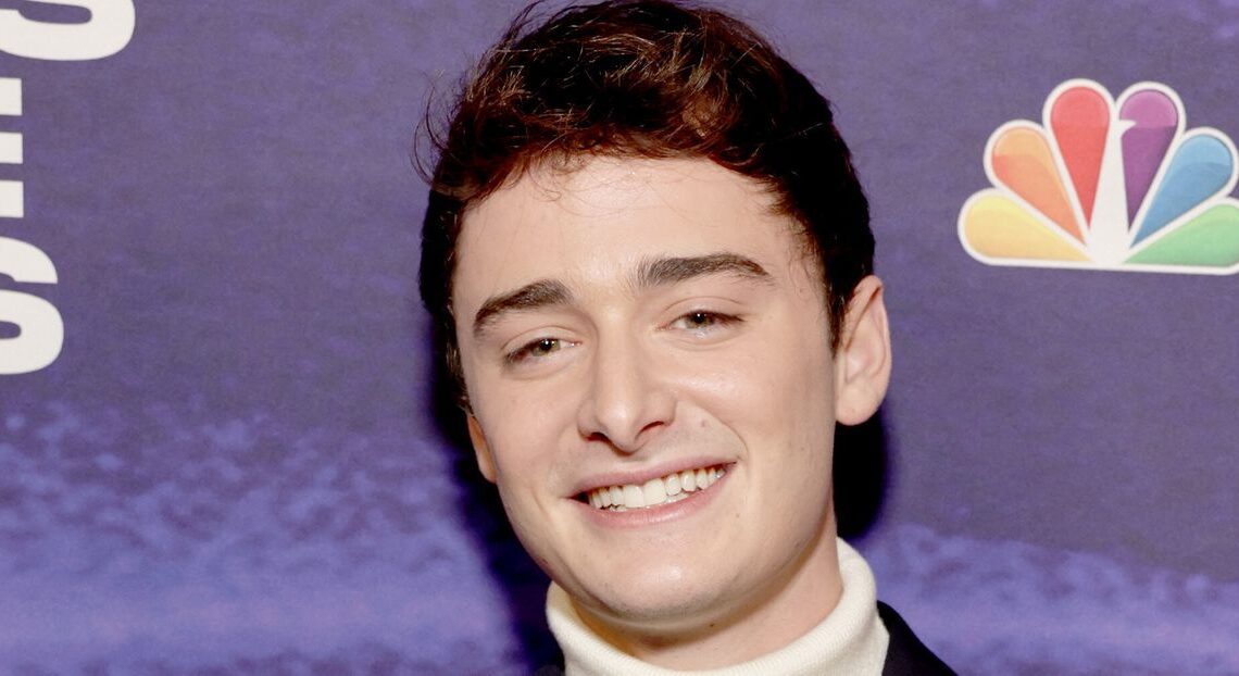Noah Schnapp Comes Out As Gay With Sweet 'Stranger Things' Allusion