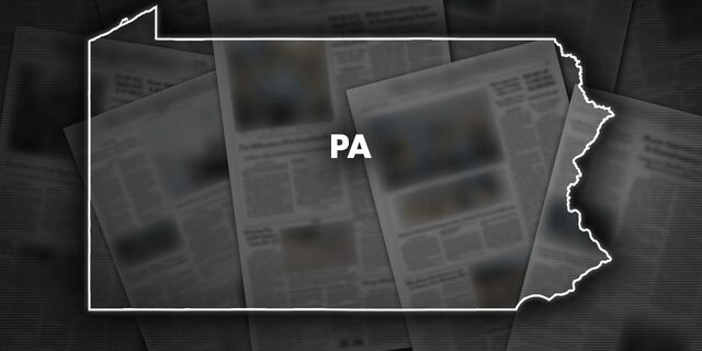 Pennsylvania Democrats have endorsed Daniel McCafferey, a Philadelphia appellate judge, in his bid for a seat on the state Supreme Court.