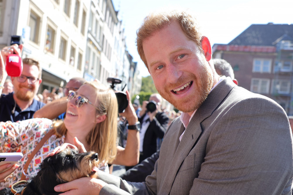 Prince Harry thinks Princess Diana would be sad about his rift with his brother