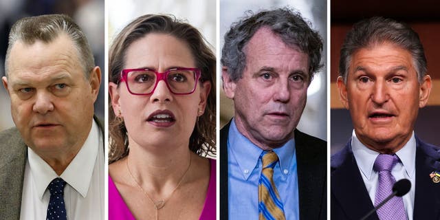 The most vulnerable Democratic senators in 2024 are, from left, Jon Tester of Montana, Kyrsten Sinema of Arizona, Sherrod Brown of Ohio, and Joe Manchin of West Virginia.