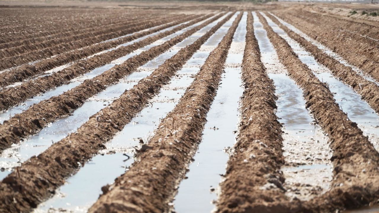 Water from the Colorado River is used to irrigate crops in Cibola, Arizona.