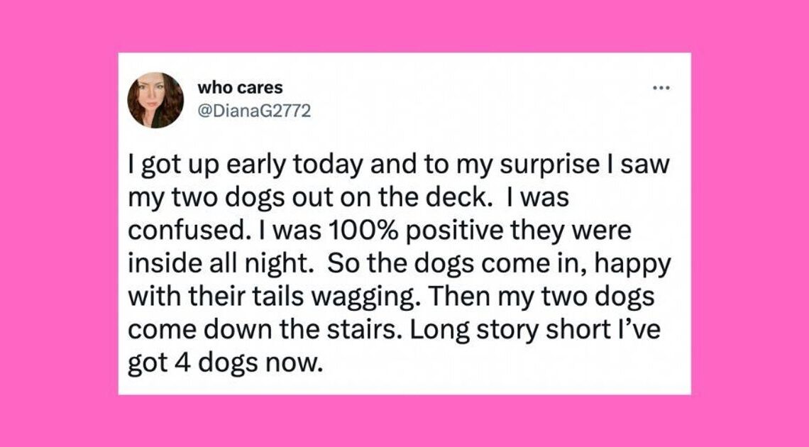23 Of The Funniest Tweets About Cats And Dogs This Week (March 11-17)