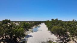 Drone footage shows millions of dead fish blanket river
