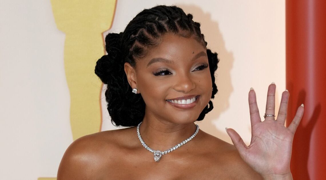 Halle Bailey Meets Young 'Little Mermaid' Fan