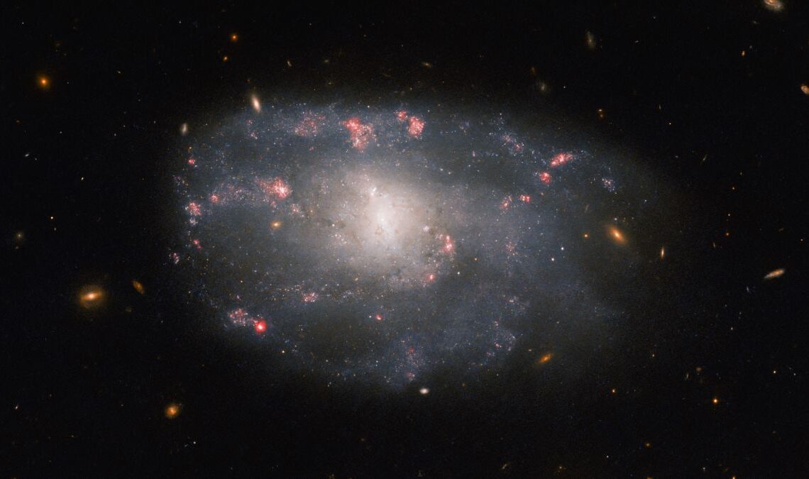 Hubble Space Telescope spies 'irregular' spiral galaxy in Ursa Major (photo)