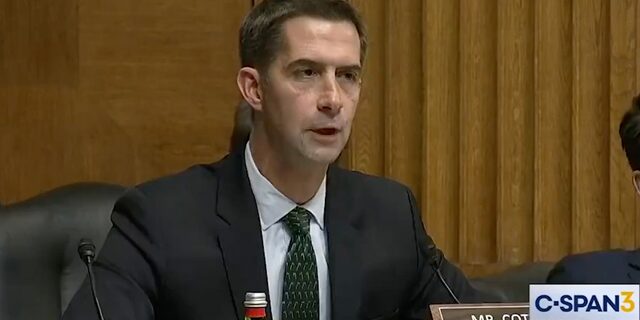 Sen. Tom Cotton blasted Secretary Lloyd Austin in the Senate Armed Services Committee on Tuesday.