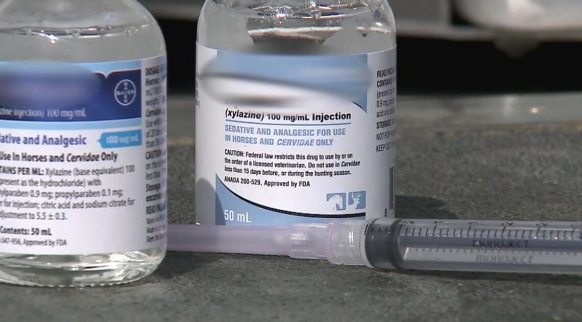 Xylazine, fentanyl mixtures found in almost every state, DEA warns