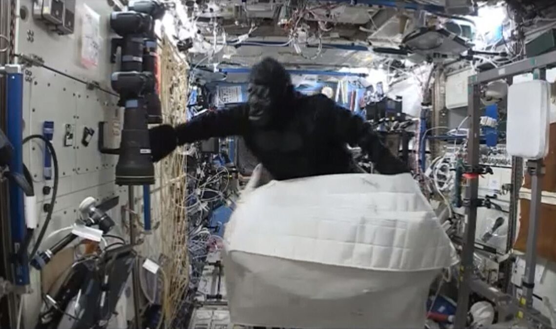 Best space pranks: From space apes to smuggled sandwiches