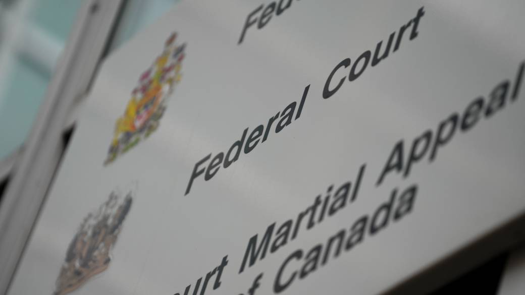 Click to play video: 'Federal justice minister promises targeted bail reforms'