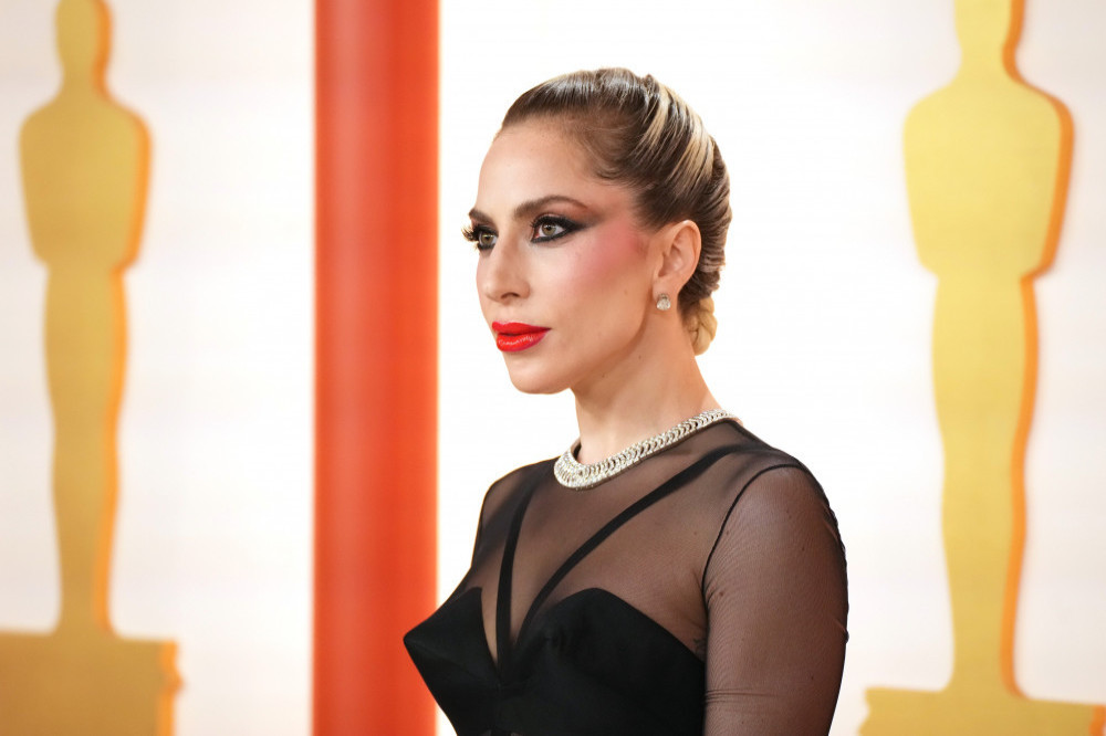 Lady Gaga has been named as a co-chair of President Biden's Arts and Humanities Committee