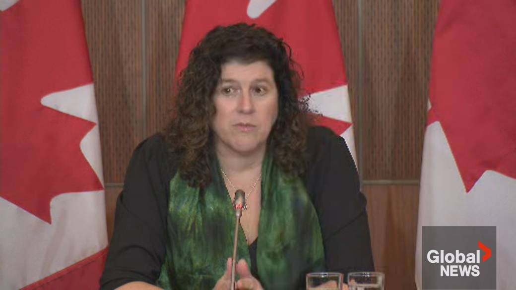 Click to play video: 'Global Affairs failing to adequately track billions in foreign aid: Hogan'