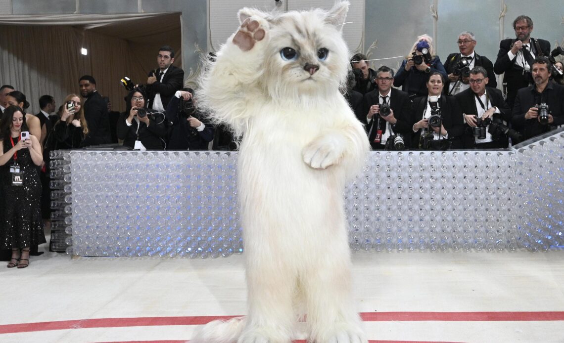 Inside the Met Gala: A furry feline star, a tardy Cinderella