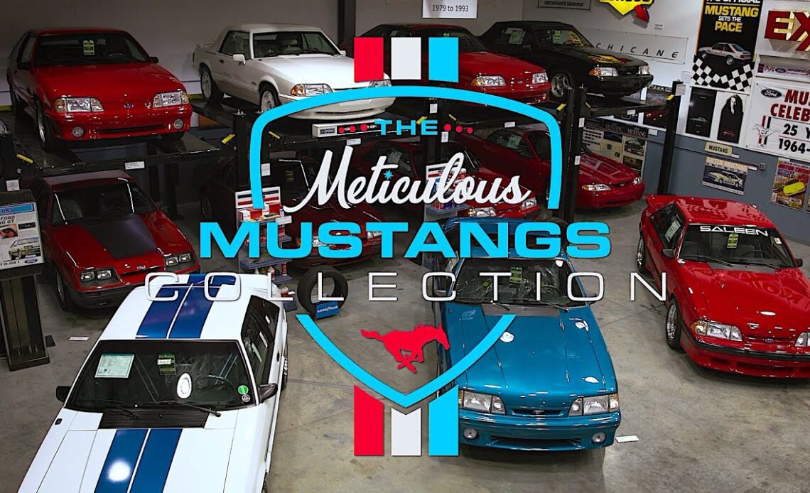 Meticulous Mustangs Collection // Mecum Indy 2023 // May 12-20 Indiana State Fairgrounds