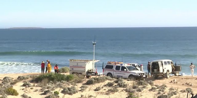 rescue vehicles on beach