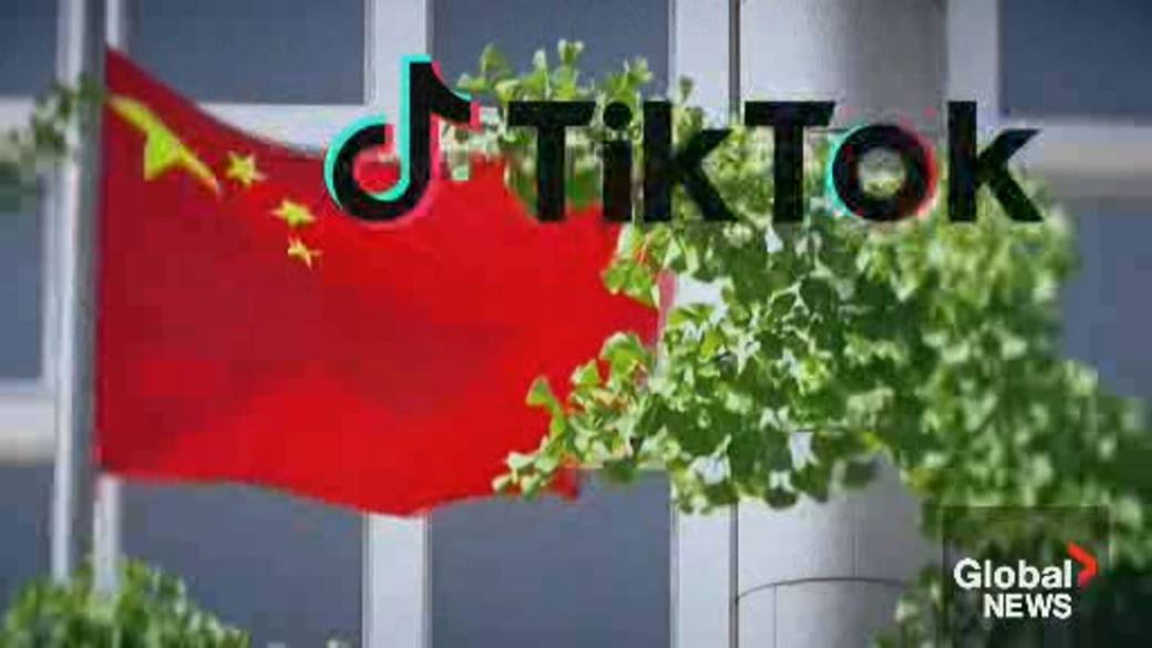 Click to play video: 'TikTok ban: Poilievre, Singh lead way in dropping Chinese-owned app after Canadian government policy'